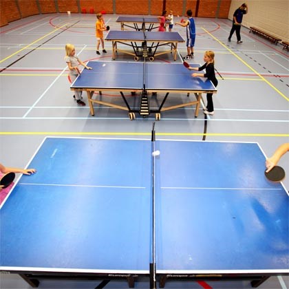 Tafeltennis